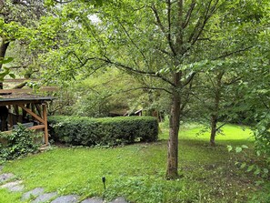 المنطقة المحيطة بالمنشأة