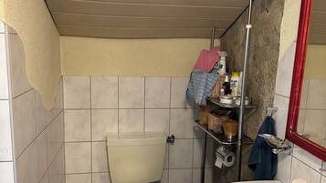 Een douche, handdoeken, zeep, toiletpapier