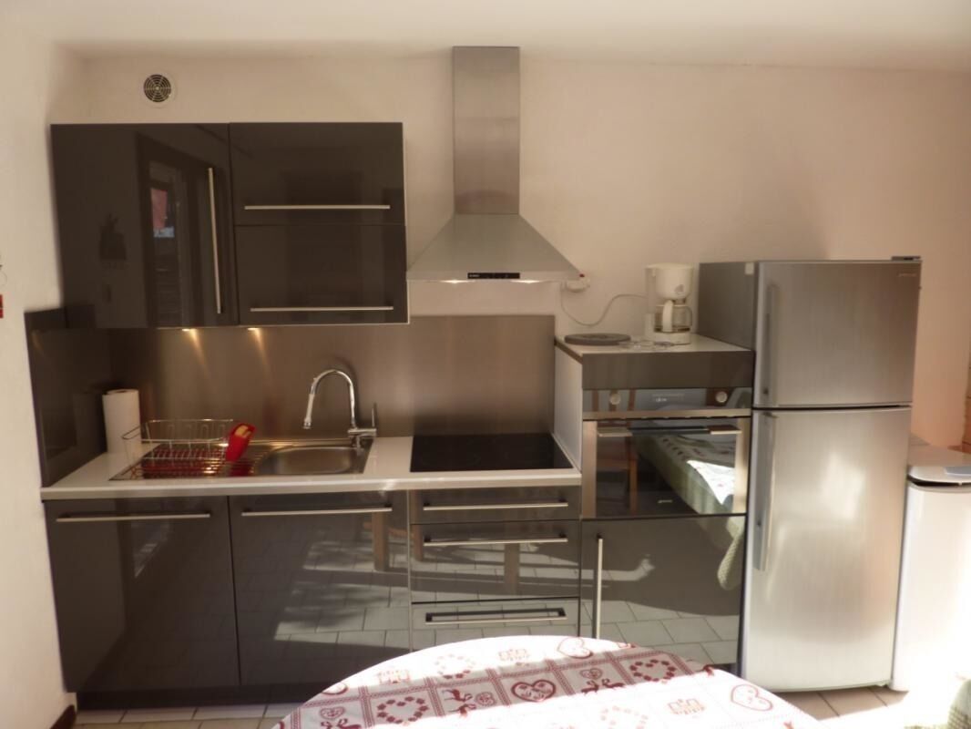 A compact kitchen with dark cabinets, a stainless steel range hood, a sink, a small oven, and a refrigerator.