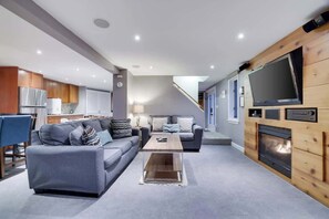 Télévision, cheminée, jeux vidéo, lecteur de DVD