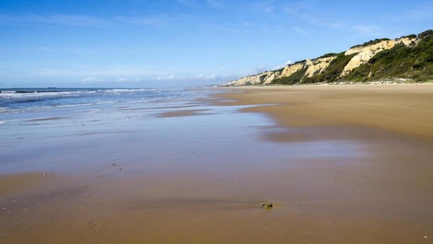 A beach with a clear sky, calm sea, and a sandy shore with cliffs in the background.