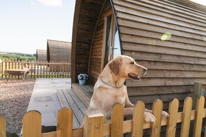 A dog sitting on a wooden deck in front of a wooden cabin with a wooden fence and a wheelbarrow in the background. - Ensuite Wooden Cabin in Rural Staffordshire (Tamworth)