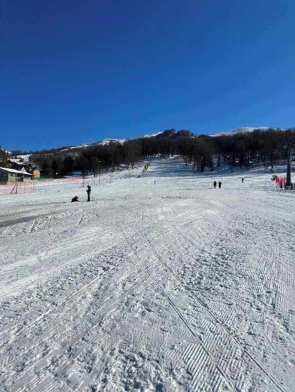 Snow and ski sports