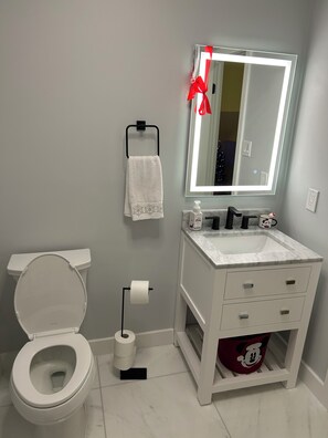 Douche, séchoir à cheveux, serviettes fournies, savon