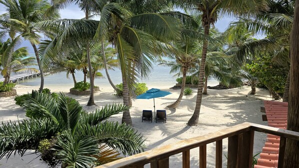 House, Ensuite, Sea View (Luxury Seaside Villa) | Beach | On the beach, white sand, beach umbrellas, beach towels - Villa Esplanade- Seascape Villas (San Pedro)