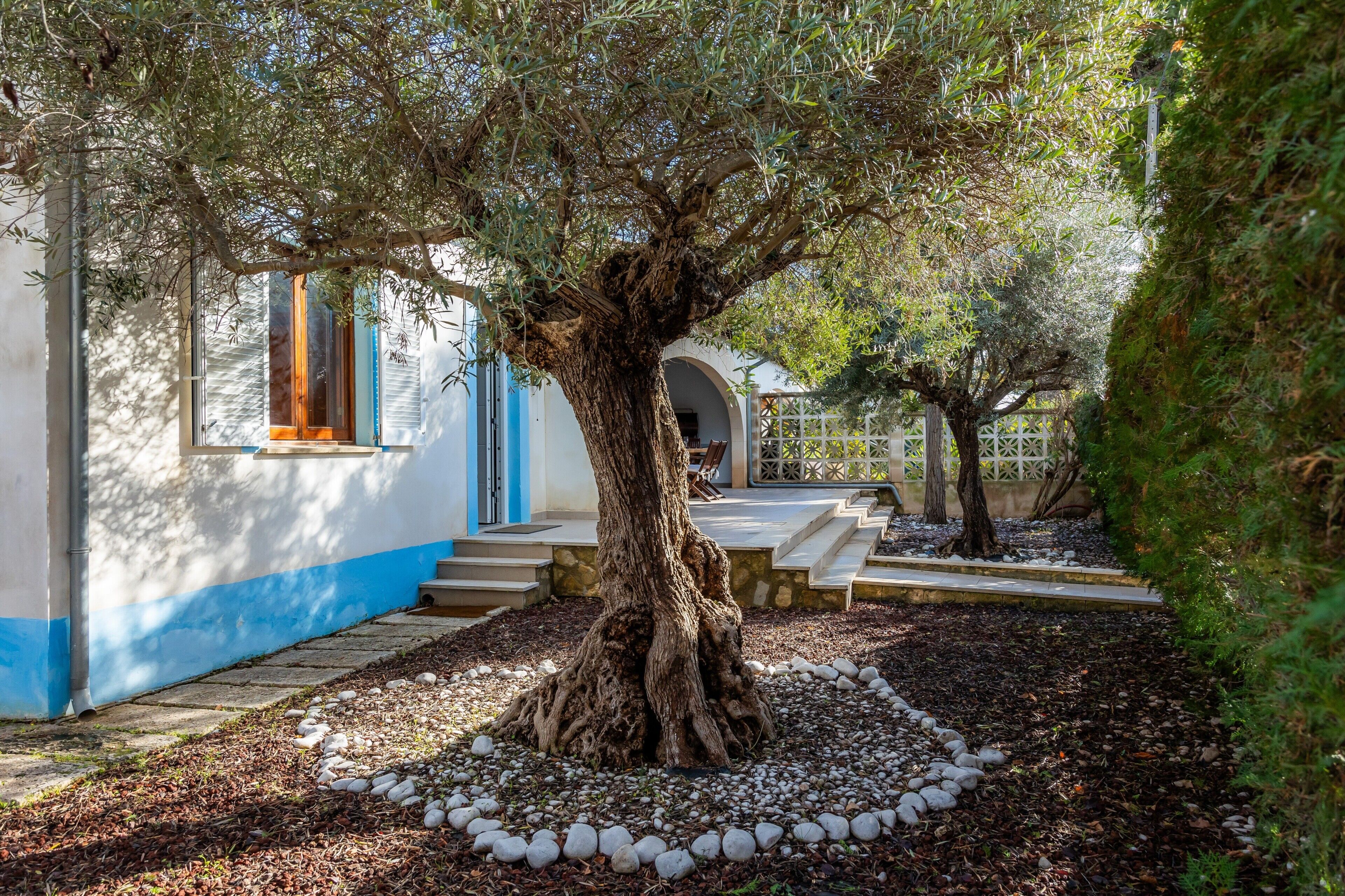 Jardines del alojamiento