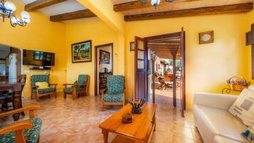 TV, fireplace, DVD player