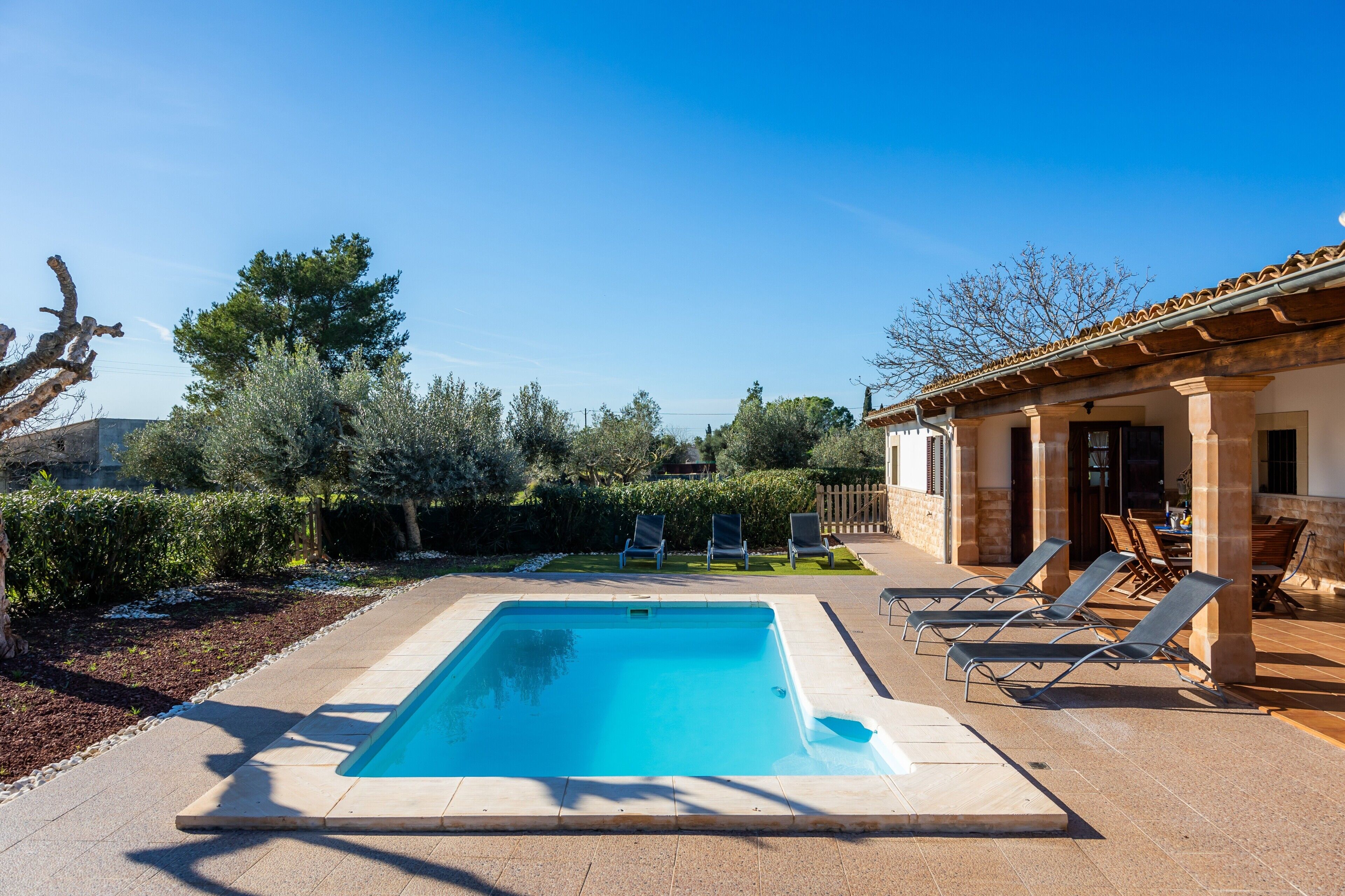 Une piscine rectangulaire avec des chaises longues et un espace patio.