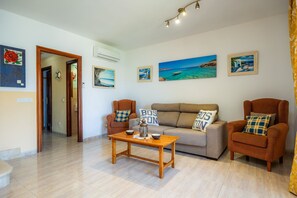 Televisio, DVD-soitin