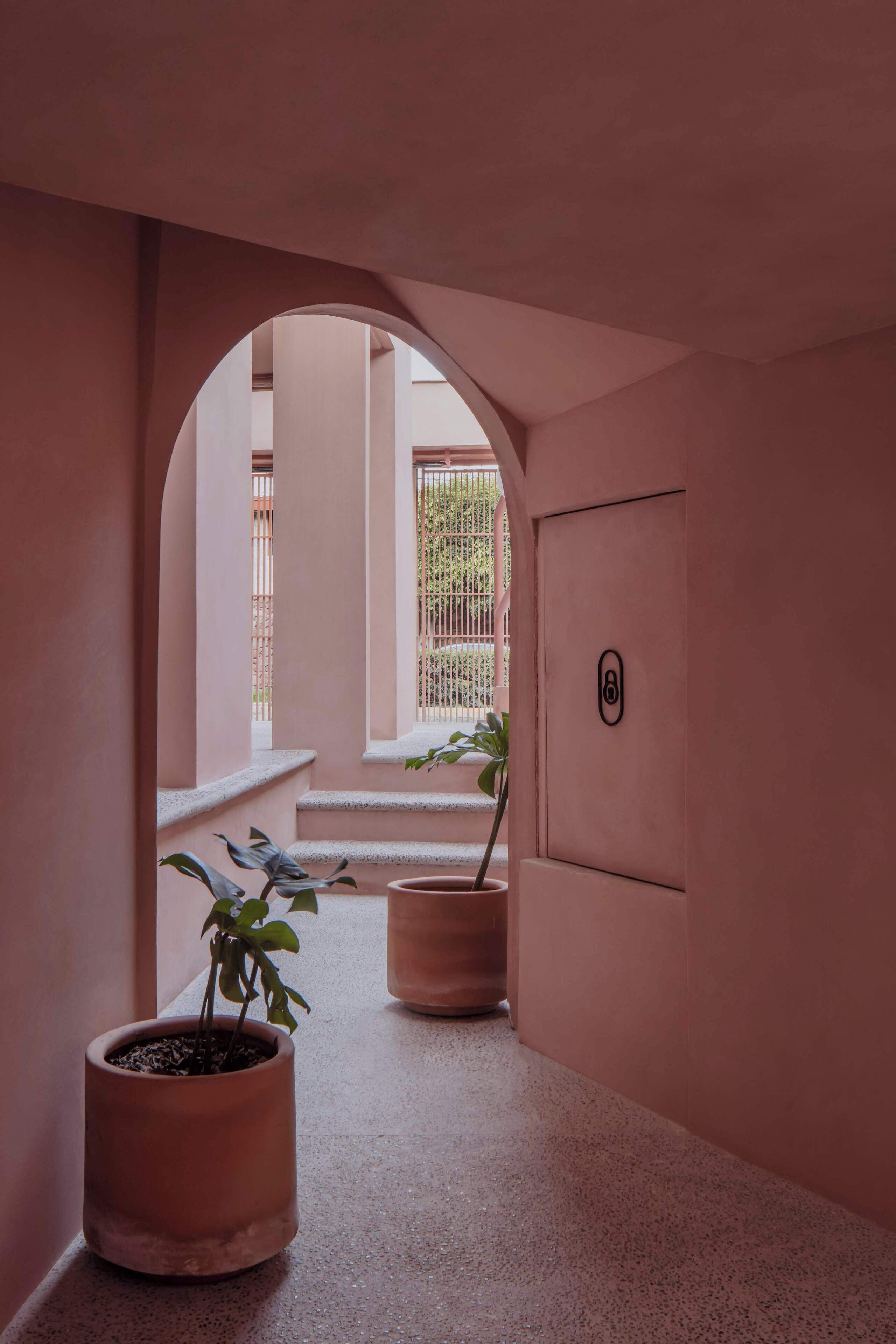 A corridor with a pink wall, a potted plant, and a door with a lock.