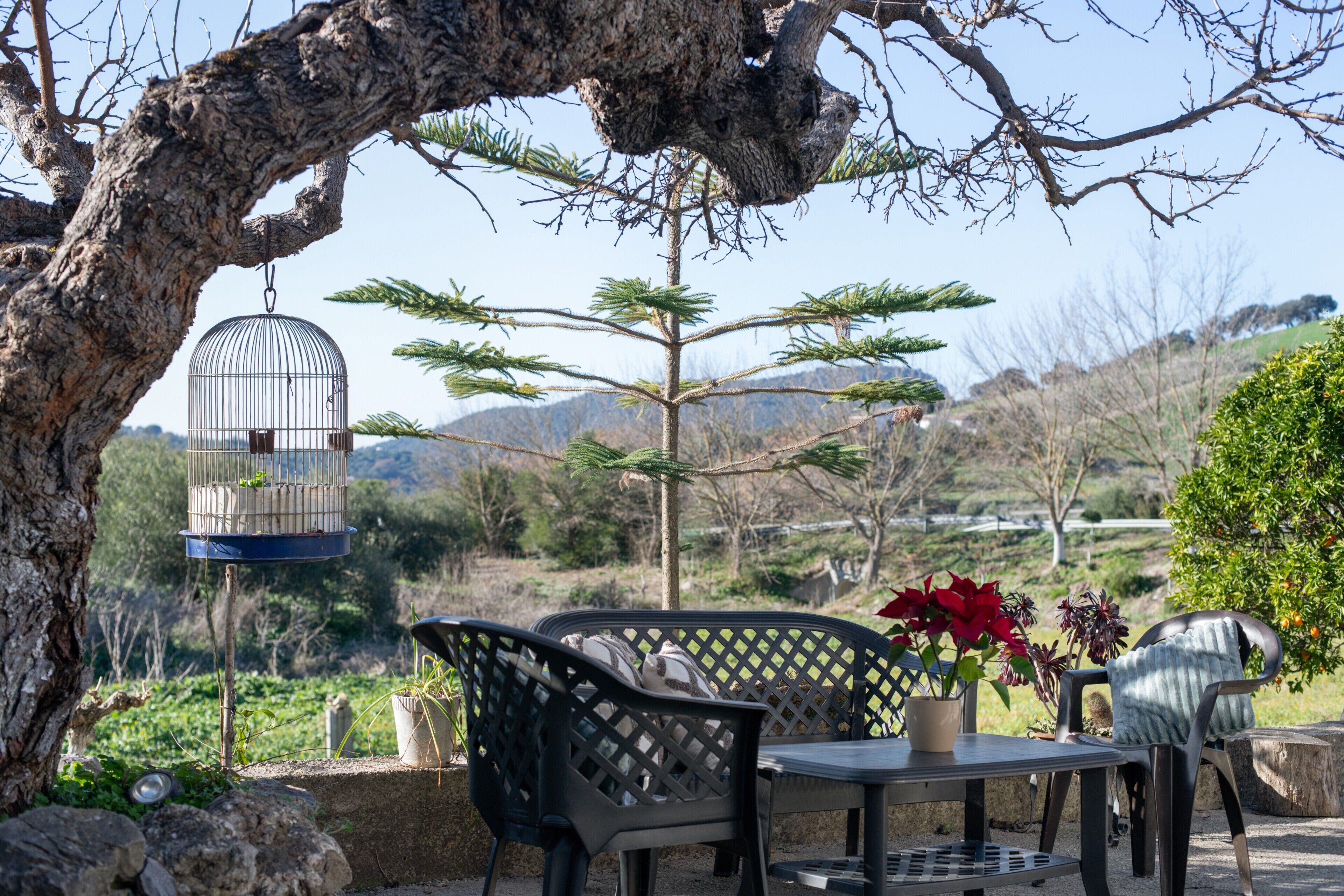 Udendørs spisemuligheder