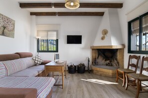 Televisie en een open haard