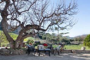 Une terrasse avec des meubles d’extérieur, un grand arbre et une vue sur la campagne.