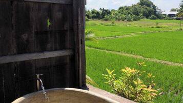 有線インターネットアクセス (無料)