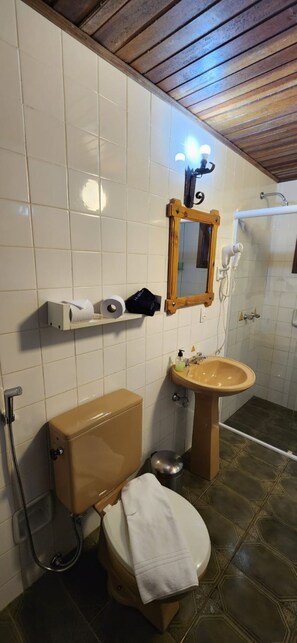 Ducha, secador de pelo, toallas, jabón