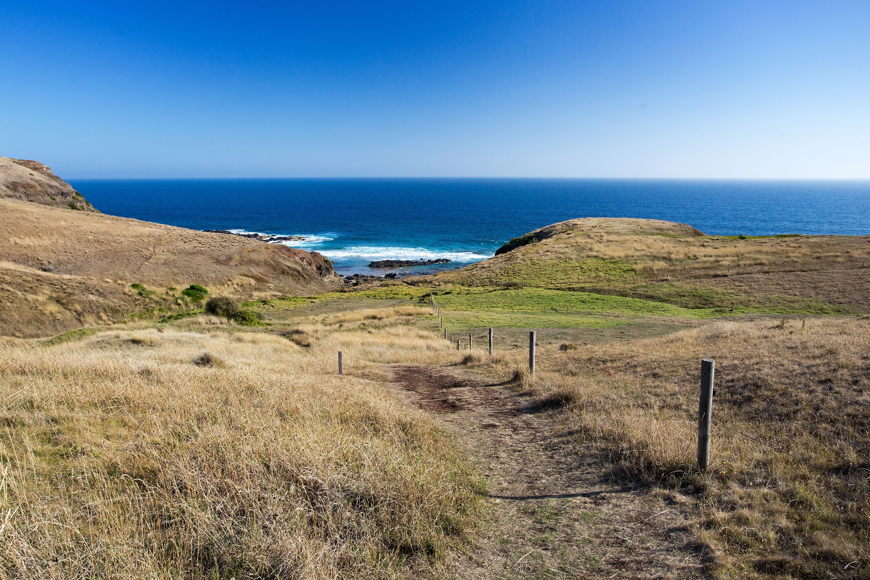 A coastal landscape with a clear view of the ocean, grassy terrain, and a dirt path leading towards the water.