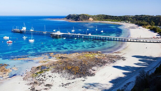 A coastal area with a pier extending into the sea, boats docked at the pier, and a sandy beach with a forested hill in the background. - Motel Flinders (Flinders)