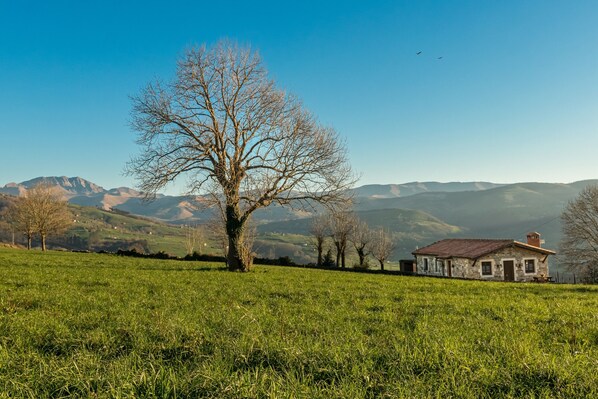 A rural landscape with a large tree, a stone house, and distant mountains.