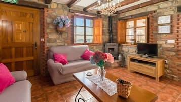 Télévision, cheminée, lecteur de DVD