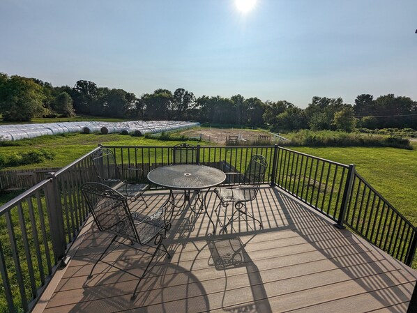 Outdoor dining - Spacious 6-bedroom house located on a beautiful large horse farm! (Eau Claire)