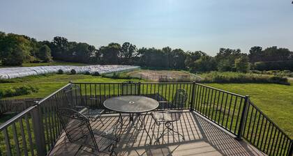 Perfect for big groups/companies- large, spacious 6 bedroom with lots of parking