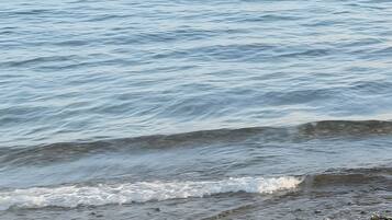 Vlak bij het strand