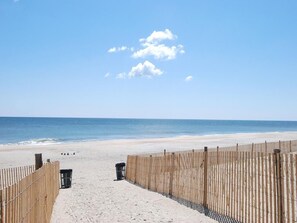 On the beach