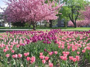 Jardines del alojamiento