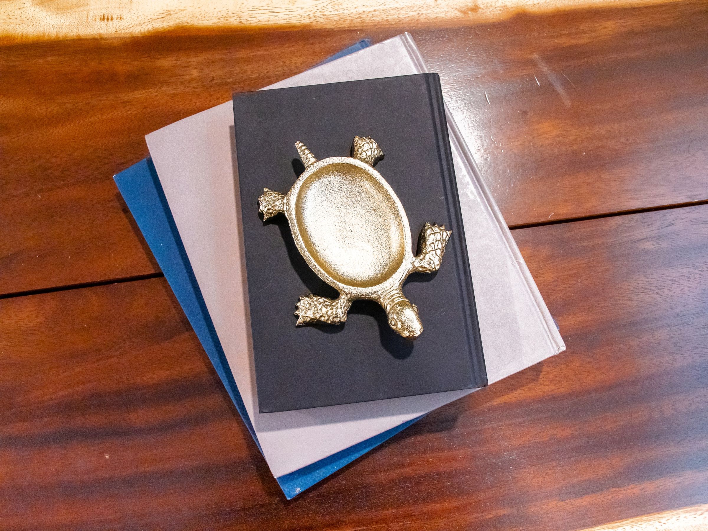 A stack of books with a decorative golden turtle on top.