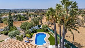 A swimming pool with a curved edge, surrounded by a green lawn and palm trees.