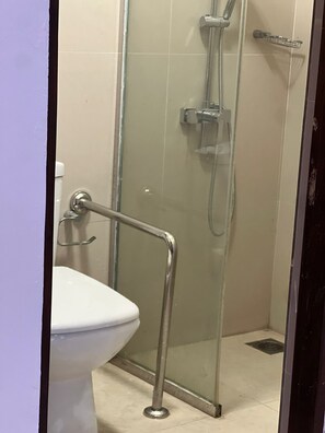 Shower, bidet, towels, toilet paper