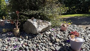 Een tuin met een rots als middelpunt, plantenbakken en diverse stenen.