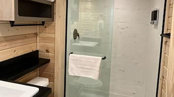 Shower, hair dryer, towels