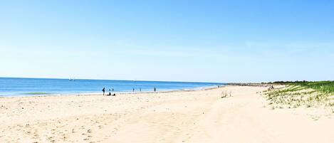 Una spiaggia nelle vicinanze
