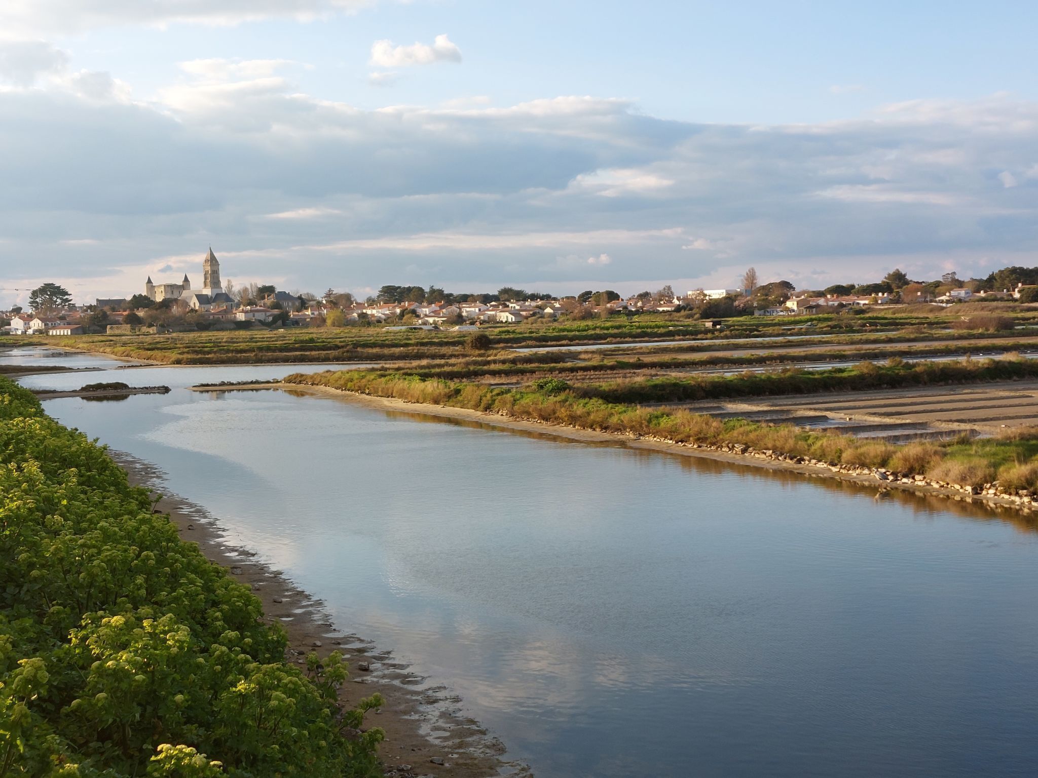 Een rivier met een stad op de achtergrond, inclusief een opvallende toren.