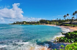 On the beach - Beautiful Condo at Napili Shores Oceanfront Resort  (Lahaina)