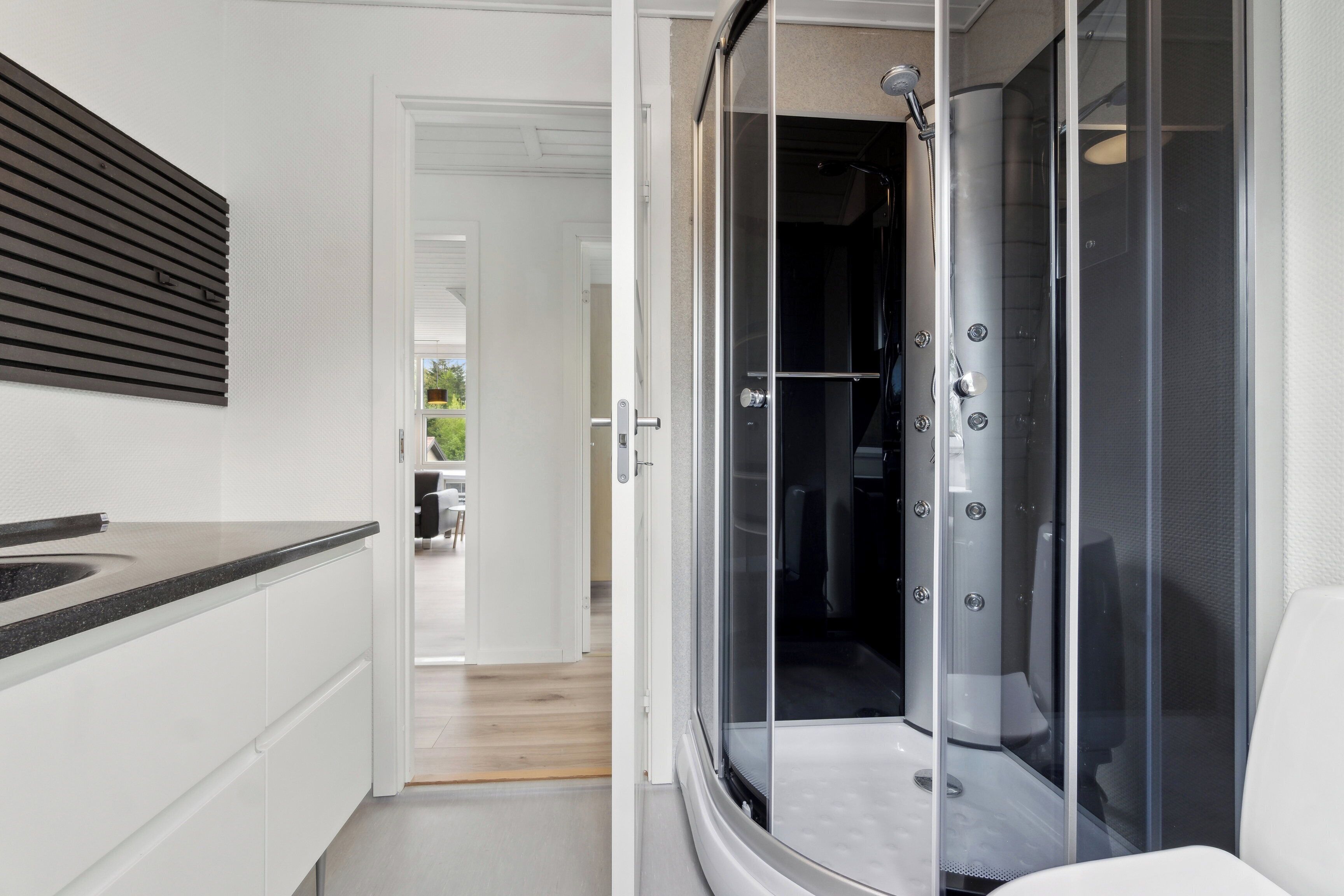 Shower, hair dryer