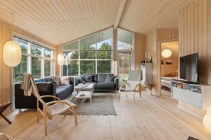 TV - Cozy summer house in North Jutland (Fjerritslev)