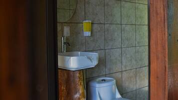 Shower, towels, soap, toilet paper