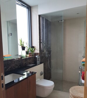 Secador de cabelo, toalhas de banho, sabonete, papel higiênico