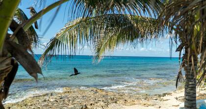 Cozumel Apartments