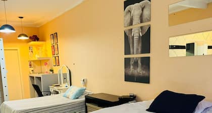 Furnished house in Gurupi Tocantins, pet friendly