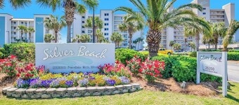 Perfect Pet-Friendly Paradise-Oceanfront