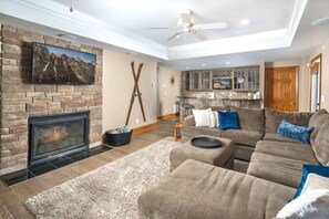Smart TV, fireplace, books