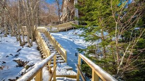 A wooden staircase leading to a lodge with a view of a snowy landscape and trees. - Large, Ski-in/Ski-Out, Hot Tub, Wet Bar, Sleeps 16 (Beech Mountain)