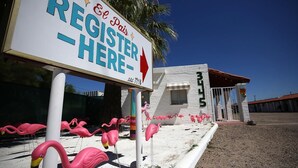 A sign for El Pais Register Here with a red arrow pointing right, and pink flamingo sculptures in front. - Vintage Motel Room in sunny Tucson with WiFi, AC "Tequila Sunrise" (Tucson)