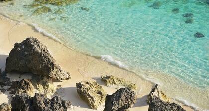 Nonsmoking Room only Superior Queen Limited number of rooms / Yaeyamagun Okinawa