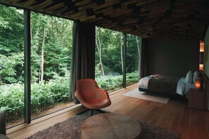 1 habitación, escritorio y wifi gratis 