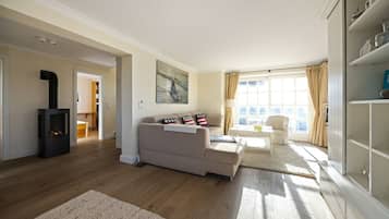 TV, caminetto, impianto stereo