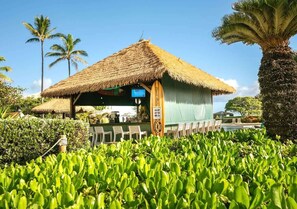 Bar (en la propiedad)